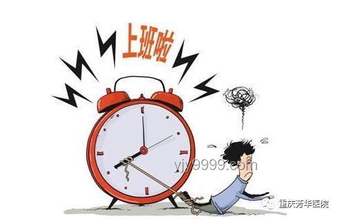 早起影响一日状态：科学验证与行业洞察